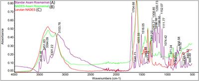 Detoxification of comfrey (Symphytum officinale L.) extract using natural deep eutectic solvent (NADES) and evaluation of its anti-inflammatory, antioxidant, and hepatoprotective properties